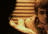 Сцена из фильма Руки вверх / Rece do góry (1981) Руки вверх сцена 2