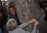 Сцена из фильма Поймать вора / To Catch a Thief (1955) Поймать вора сцена 3