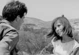 Сцена из фильма Охота / La caza (1966) 
