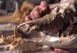 ТВ National Geographic: Доисторические хищники. Челюсти, как бритва / Prehistoric Predators. Razor Jaws (2009) - cцена 2