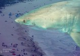 Сцена из фильма Атомная акула / Atomic Shark (2016) Атомная акула сцена 1