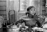 Фильм Девчата (1961) - cцена 6