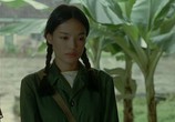 Сцена из фильма Листва / Mei Ren Cao (2004) Листва сцена 3