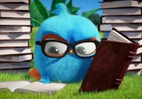 Сцена из фильма Сердитые птички. Пушистики / Angry Birds. Blues (2017) Сердитые птички. Пушистики сцена 2