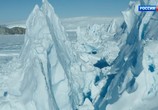 Сцена из фильма Антарктида. 200 лет мира (2020) Антарктида. 200 лет мира сцена 12