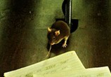 Сцена из фильма Мышиная охота / Mousehunt (1997) Мышиная охота
