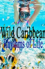 Ритмы жизни Карибских островов