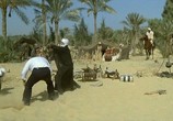 Сцена из фильма Громила в Египте / Piedone d'Egitto (1980) Громила в Египте сцена 2