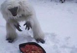 Сцена из фильма Охота на снежного человека / Snow Beast (2011) Охота на снежного человека сцена 7