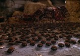 Сцена из фильма Нашествие тараканов / They Nest (2000) Нашествие тараканов сцена 2