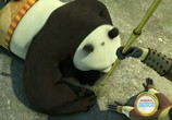 Мультфильм Кунг-фу Панда: Удивительные легенды / Kung Fu Panda: Legends of Awesomeness (2011) - cцена 1