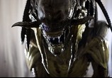 Фильм Чужие против Хищника: Реквием / Aliens vs. Predator: Requiem (2008) - cцена 4