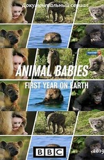 Малыши в дикой природе: первый год на земле