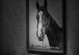 Сцена из фильма Мой брат разговаривает с лошадьми / My Brother Talks To Horses (1947) Мой брат разговаривает с лошадьми сцена 8