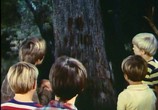 Сцена из фильма Странные каникулы / Strange Holiday (1970) Странные каникулы сцена 6