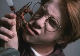 Сцена из фильма Клещи / Ticks (1993) Клещи сцена 3