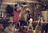Фильм Снежные псы / Snow Dogs (2002) - cцена 3