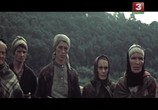 Фильм Тревоги первых птиц (1985) - cцена 8