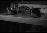 Сцена из фильма Атомный парнишка / The Atomic Kid (1954) Атомный парнишка сцена 2