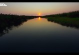 Сцена из фильма Вдоль по Окаванго / Into the Okavango (2018) Вдоль по Окаванго сцена 1