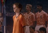 Сцена из фильма В оранжевом / In Oranje (2004) В оранжевом сцена 1