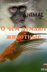 О чём думают животные