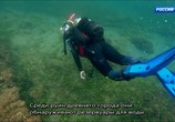Сцена из фильма Подводный мир древнего города Байи / Underwater Pompeii (2017) Подводный мир древнего города Байи сцена 6
