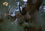 Сцена из фильма Ниндзя III: Господство / Ninja III: The Domination (1984) Ниндзя III: Подчинение сцена 3