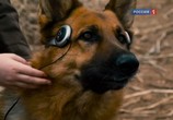 Фильм Крутой пес / Cool Dog (2010) - cцена 1