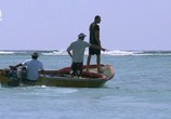 Сцена из фильма Секрет Сейшельских островов: Даррос / Secret Seychelles D’Arros (2014) Секрет Сейшельских островов: Даррос сцена 4