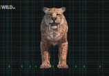 ТВ National Geographic: Доисторические хищники: Саблезубый Тигр / Prehistoric Predators: Saber Tooth Cat (2009) - cцена 8
