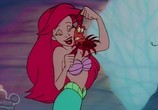 Сцена из фильма Русалочка / The Little Mermaid: The series (1992) Русалочка сцена 13