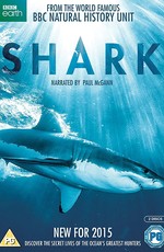 BBC: Вся правда об акулах
