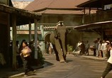 Сцена из фильма Операция «Слон» / Operation Dumbo Drop (1995) Операция сцена 5