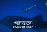 ТВ Фридайвинг на Большом Барьерном рифе / Ultimate Freedive: The Great Barrier Reef (2016) - cцена 1