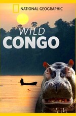 Дикая река Конго