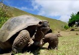 ТВ Галапагосы с Дэвидом Аттенборо / Galapagos with David Attenborough (2013) - cцена 3