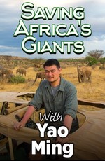Спасение слонов с Яо Мином