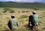 ТВ BBC: Наедине с природой: Последние из носорогов / Last of the Rhinos (2004) - cцена 4