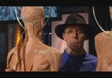 Сцена из фильма Анатомия для начинающих / Anatomy for Beginners (2005) Анатомия для начинающих. Пищеварение сцена 1