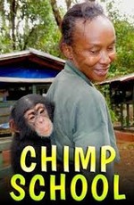 Школа для шимпанзе