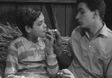 Фильм Странная дружба / Les Amitiés particulières (1964) - cцена 3