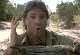 Сцена из фильма Охотник на крокодилов: Схватка / The Crocodile Hunter: Collision Course (2002) 
