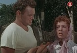 Сцена из фильма Море зовет (1956) Море зовет сцена 2