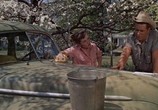 Сцена из фильма Домой с холма / Home from the Hill (1960) Домой с холма сцена 4