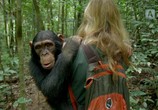 ТВ BBC: Животные в объективе / Animals With Cameras (2018) - cцена 4