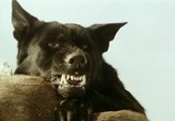 Сцена из фильма Глаз волка / Eye of the Wolf (1995) Глаз волка сцена 2