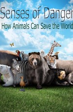 Чутье: как животные спасают мир