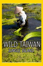 Nat Geo Wild: Дикая природа Тайваня: остров джунглей