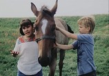 Сцена из фильма Каждый мечтает о лошади / Jeder träumt von einem Pferd (1988) Каждый мечтает о лошади сцена 14